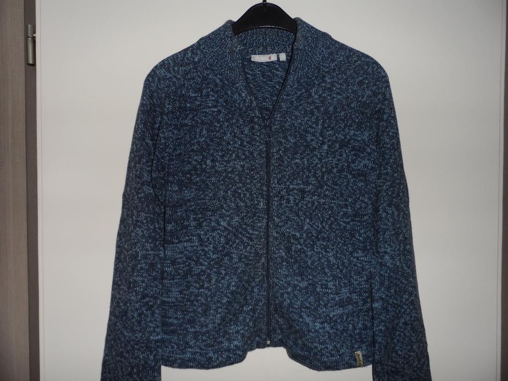 BLAUW VEST, Kinderen en Baby's, Kinderkleding | Maat 164, Ophalen of Verzenden, Zo goed als nieuw, Meisje, Trui of Vest