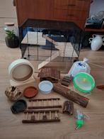 complete hamsterkooi / knaagdierenkooi met veel toebehoren, Kooi, Minder dan 75 cm, Zo goed als nieuw, Ophalen
