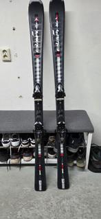 Skies maat 152, 140 tot 160 cm, Gebruikt, Skiën, Ski's