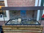 Tekoop Juwel 180 kompleet, Dieren en Toebehoren, Ophalen of Verzenden, Gebruikt, Leeg aquarium