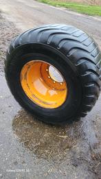 Alliance band, Dieren en Toebehoren, Juli