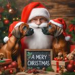 Rhodesian Ridgeback pups met stamboom, Nederland, Overige rassen, CDV (hondenziekte), 8 tot 15 weken