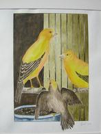 Kanarie 50x70, Antiek en Kunst, Ophalen of Verzenden