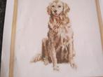 Borduurpatroon  Hond Golden Retriever  nr 9669, Hobby en Vrije tijd, Borduren en Borduurmachines, Verzenden, Nieuw, Handborduren