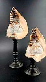 Antieke cameo Cassis Madagascare op sokkel, Ophalen of Verzenden, Overige typen