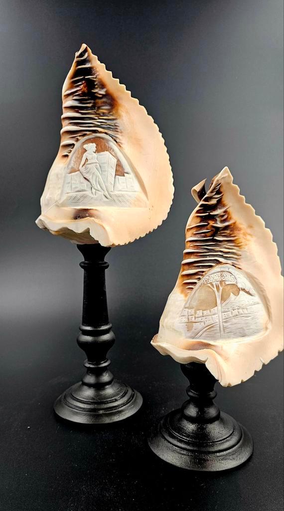 Antieke cameo Cassis Madagascare op sokkel, Verzamelen, Dierenverzamelingen, Overige typen, Ophalen of Verzenden