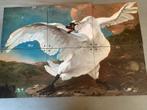 Jan asselijn gans ixxi, Ophalen of Verzenden, Gebruikt, Minder dan 50 cm