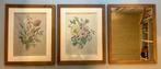 Set van twee botanische lithos en een spiegel., Antiek en Kunst, Kunst | Litho's en Zeefdrukken, Ophalen