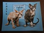 CAMBODJA 1997; BLOK KATTEN, Verzenden, Gestempeld, Dier of Natuur