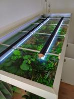 Aquarium led verlichting set met controller 160 cm aquarium, Dieren en Toebehoren, Vissen | Aquaria en Toebehoren, Ophalen, Zo goed als nieuw