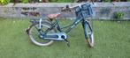 Alpina cargo 20 inch meisjesfiets kinderfiets, Fietsen en Brommers, Fietsen | Kinderfietsjes, Ophalen, Gebruikt, 20 inch of meer
