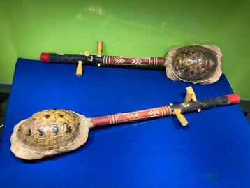 Zeldzame Schildpad Luiten beschikbaar voor biedingen