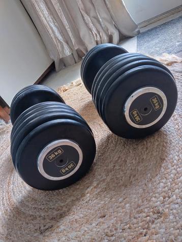 Dumbell hater set van 2x 36 Kg beschikbaar voor biedingen