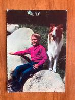Lassie 1965, Ophalen of Verzenden, Gebruikt, Tv, Foto of Kaart