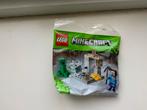 LEGO Minecraft 30647 The Dripstone Cave - Nieuw! Ongeopend, Kinderen en Baby's, Speelgoed | Duplo en Lego, Ophalen, Nieuw, Complete set