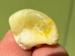 Gele Opaal uit Honduras broekzaksteen mineralen edelsteen, Verzamelen, Mineralen en Fossielen, Ophalen of Verzenden, Mineraal
