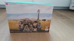 Dierenpuzzel, Ophalen of Verzenden, 500 t/m 1500 stukjes, Zo goed als nieuw, Legpuzzel