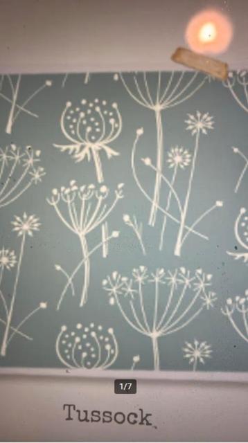 Roller van Painted House Tussock  beschikbaar voor biedingen