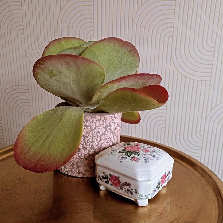 Een prachtig Limoges porseleinen dekseldoosje, Antiek en Kunst, Antiek | Porselein, Ophalen of Verzenden