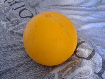 Speelbal hond / paard beschikbaar voor biedingen