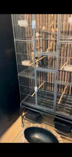 Vogel kooi, Dieren en Toebehoren, Vogels | Hokken en Kooien, Ophalen of Verzenden
