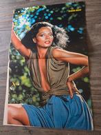 Poster van vroeger: Diana Ross !!, Ophalen of Verzenden, Poster, Artwork of Schilderij