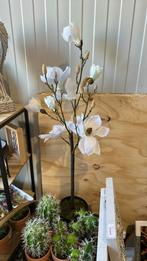 Nieuw magnolia kunst plant, Ophalen of Verzenden, Nieuw, Binnen