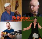 Caribisch en latin kwartet Bribidao, Band