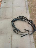 Te koop, Dieren en Toebehoren, Ophalen, Overige soorten