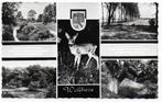 Wolfheze Oude Ongelopen ansichtkaart B6895, Ophalen of Verzenden, 1940 tot 1960, Ongelopen