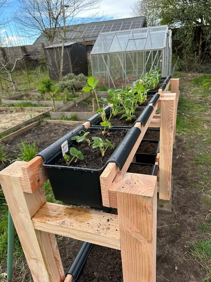 Aardbeienrek / Plantenrek, Tuin en Terras, Bloembakken en Plantenbakken, Nieuw, Hout, Binnen, Balkon, Tuin, 30 tot 60 cm, 60 tot 100 cm
