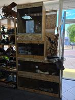 Terrariums, toebehorenen en voedseldieren, Ophalen, Zo goed als nieuw, Terrarium of Paludarium