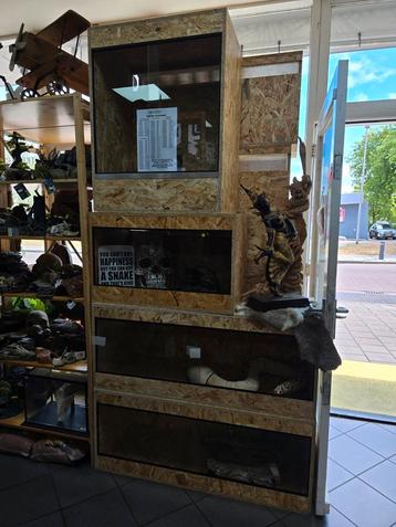 Terrariums, toebehorenen en voedseldieren  beschikbaar voor biedingen