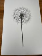 Poster paardebloem, Ophalen of Verzenden, Zo goed als nieuw, Overige onderwerpen