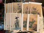Doosje , postpapier kaarten, 12 stuks, irissen, Ophalen of Verzenden, Nieuw
