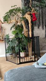 Peuter/honden hekje (opvouwbaar), Kinderen en Baby's, Traphekjes, Ophalen, 115 cm of meer, Klemhekje