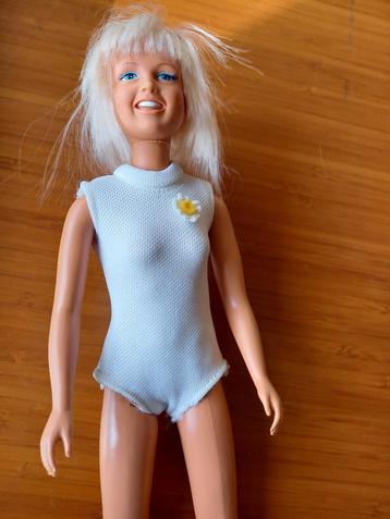 Popje Dusty 1976 beschikbaar voor biedingen