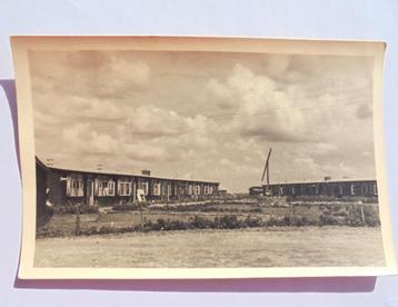 Werkkamp SCHOKLAND Houten barakken met houten windmolen beschikbaar voor biedingen