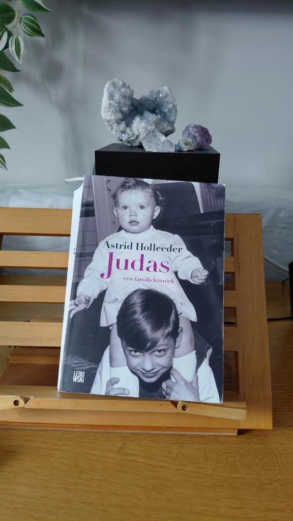 Astrid Holleeder - Judas, Boeken, Detectives, Gelezen, Ophalen of Verzenden