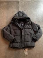 Canada Goose Macmillan parka grijs, Ophalen of Verzenden, Nieuw