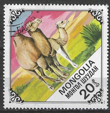 Mongolie 1978 - Yvert 983 - Kamelen uit Mongolie (ST) beschikbaar voor biedingen