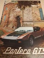 Jaren 70 DeTomaso Pantera GTS 5,8 liters folder izgst, Ophalen of Verzenden, Zo goed als nieuw, Overige merken