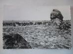 M48 Warns - Gedenksteen slag bij Warns, Verzenden, 1940 tot 1960, Gelopen, Friesland