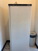 Horeca rvs koeling koelkast xxl 600 liter, Witgoed en Apparatuur, Koelkasten en IJskasten, Zonder vriesvak, 200 liter of meer