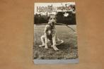 Honderden Honden - Emott Erwitt (fotoboek), Boeken, Gelezen, Honden, Ophalen of Verzenden