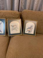 Set van 6 ingelijste vogelprenten barok lijst, Antiek en Kunst, Ophalen