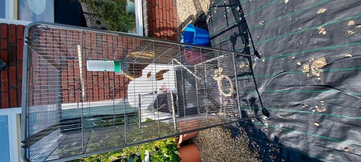Grote vogelkooi kamervoliere, Dieren en Toebehoren, Vogels | Hokken en Kooien, Zo goed als nieuw, Vogelkooi, Metaal, Ophalen