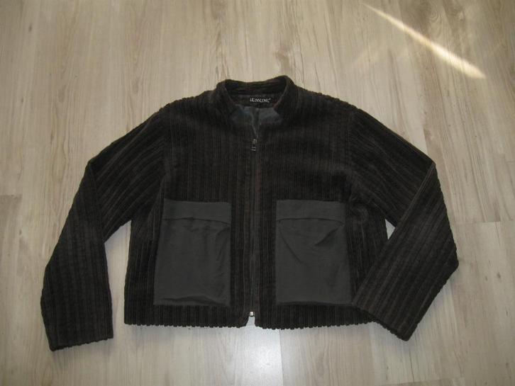Hebbeding bijzonder jasje maat 1 goede staat, Kleding | Dames, Jasjes, Kostuums en Pakken, Zo goed als nieuw, Jasje, Maat 38/40 (M)