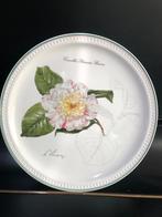 Villeroy & Boch wandbord, Ophalen of Verzenden
