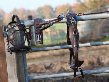 Te koop bruin pony mentuig nieuw  beschikbaar voor biedingen